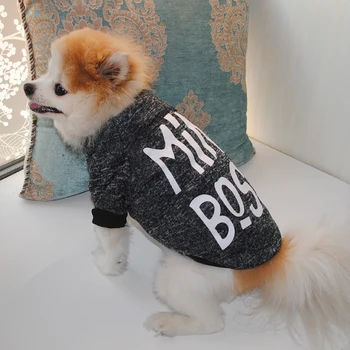 2021 Зимни дрехи за домашни кучета с качулка, за кучета с надпис Дизайнерски Пуловер за кучета от малки, средни кучета Кученце Чихуахуа Топли памучни палто за кучета